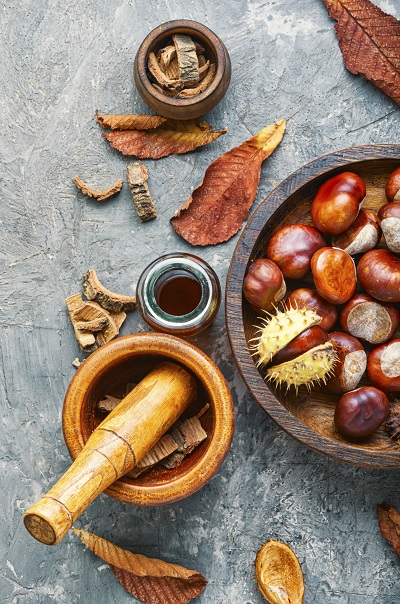 Chestnut extract being used for medicinal and skincare